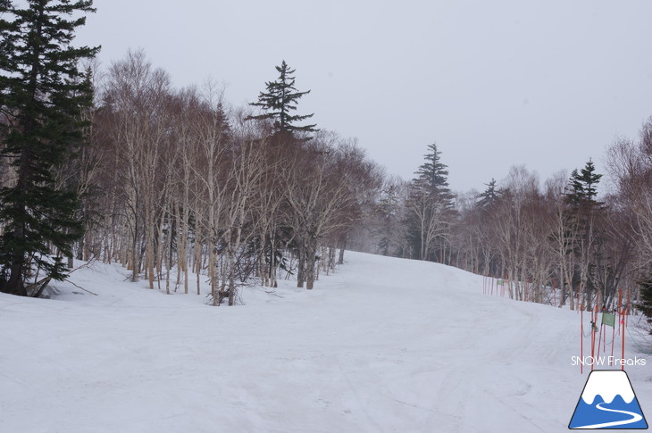 札幌国際スキー場 積雪豊富☆明日の営業最終日も、ほぼ全面滑走可能です!!